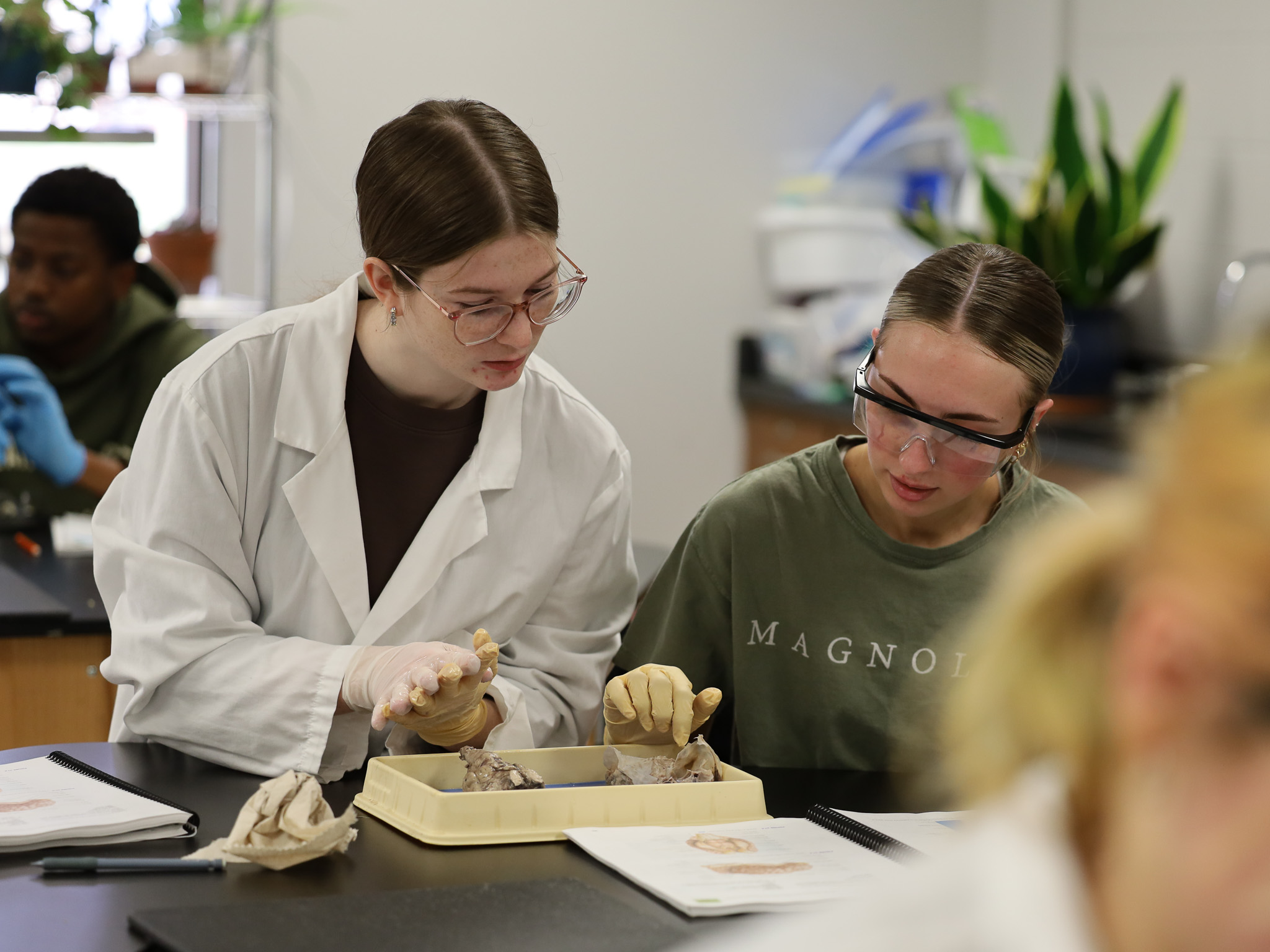 biology students